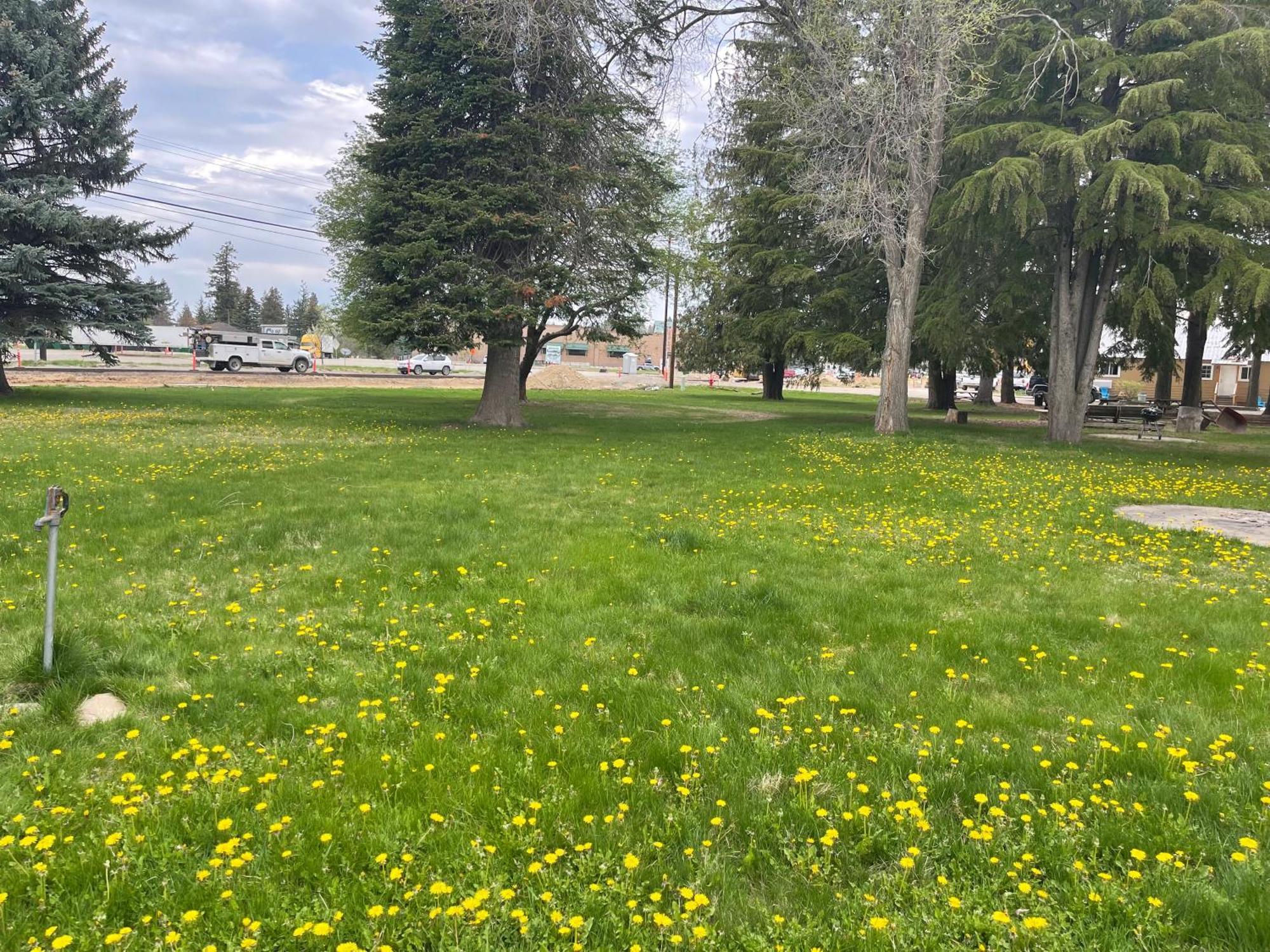 Kootenai Valley Motel Боннерс-Феррі Екстер'єр фото